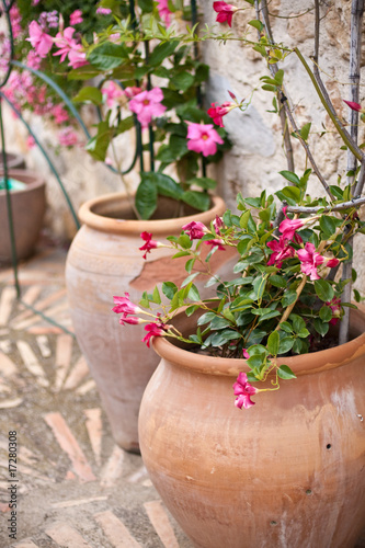 pots à fleurs