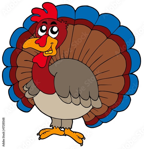 Cartoon turkey