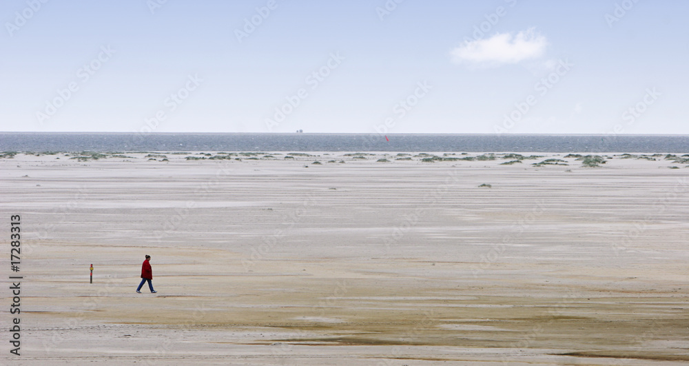 Obraz premium Strandspaziergang