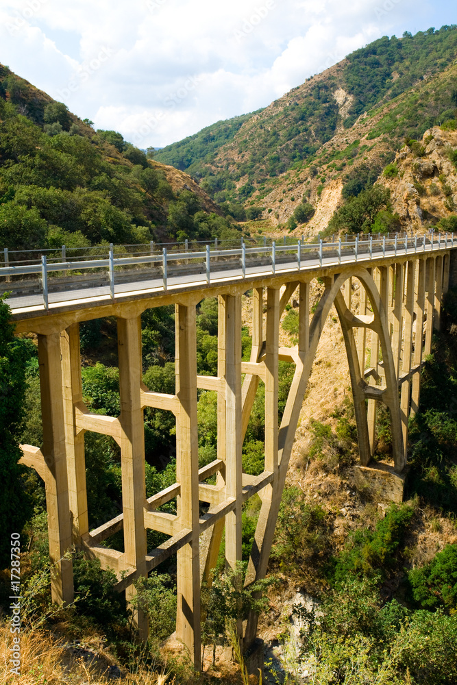Fototapeta premium Mountain bridge over the river