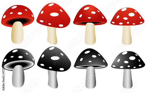 Mushrooms