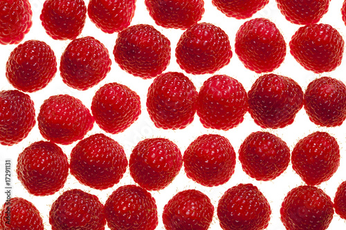 Wallpaper Mural raspberry  background over white Torontodigital.ca