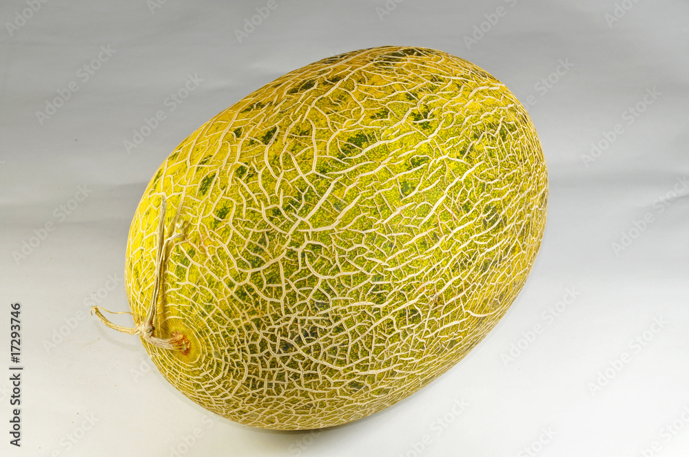 Fototapeta premium texture of honey dew melon skin