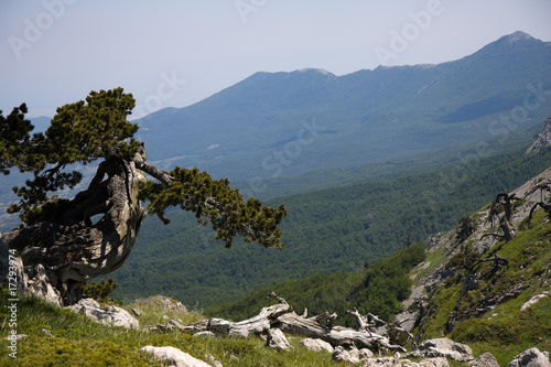 parco nazionale del pollino
