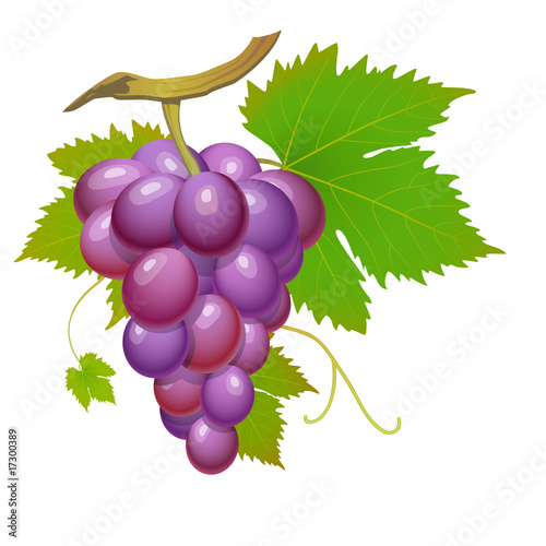 Purple grape