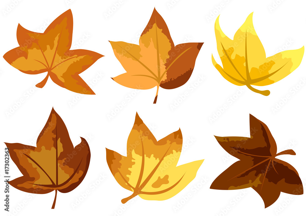 autumn leaves autumn leaves