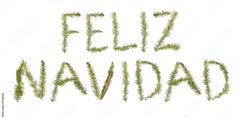 Spruce twigs forming the phrase 'Feliz Navidad' Spruce twigs forming the phrase 'Feliz Navidad'