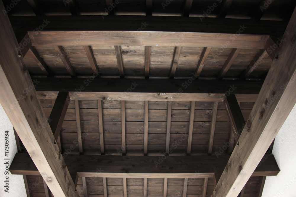 Obraz premium 天井