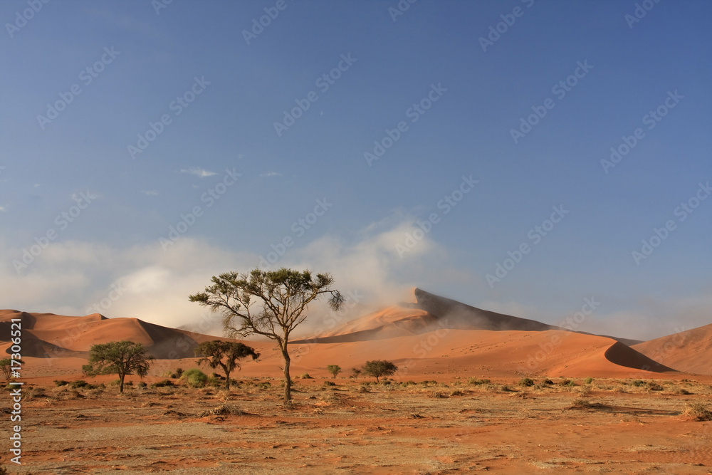 Sossusvlei sand dune national park
