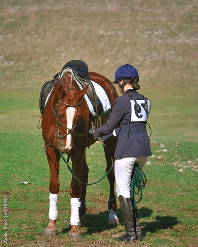 Cavallo e fantino ad una gara equestre