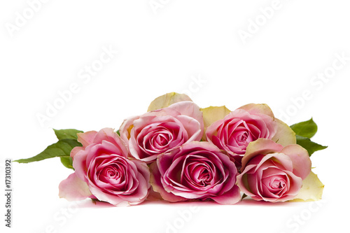 Rosen