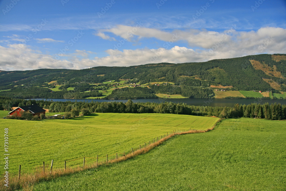 ländliches Panorama