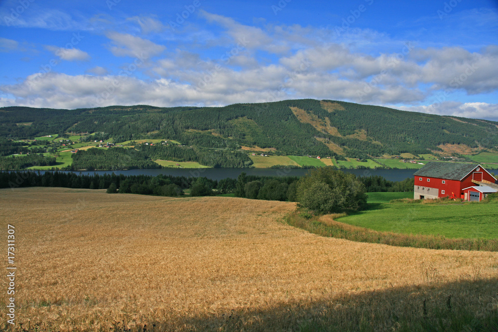 Bauernhof in Landschaft