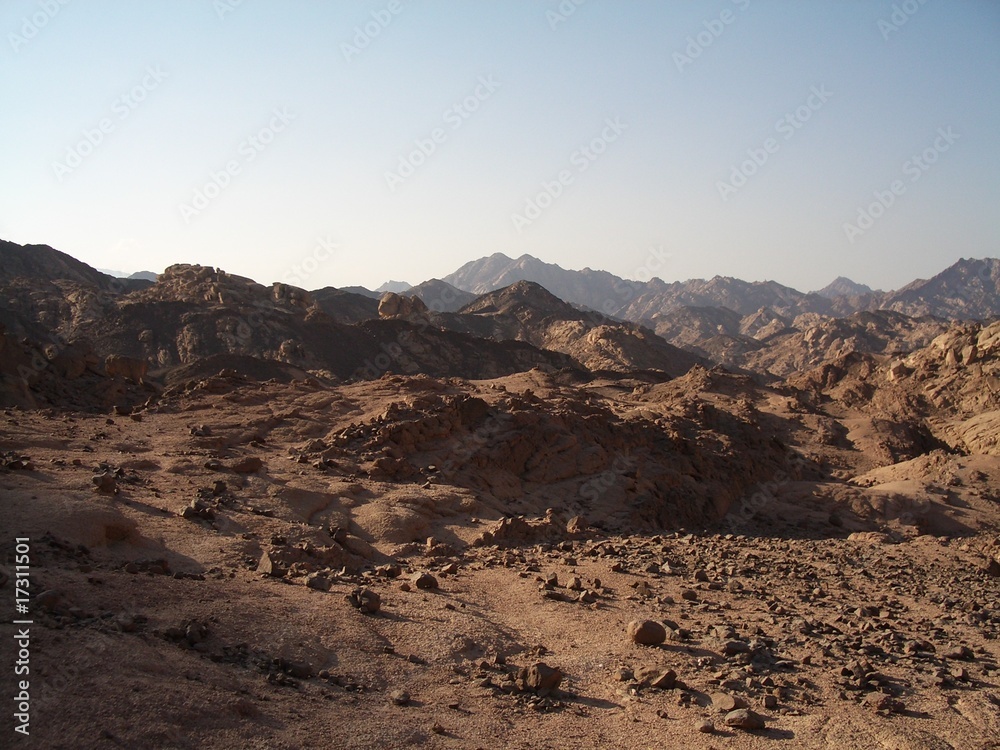 Fototapeta premium Deserto