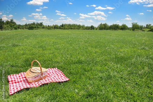 picnic setting on meadow with copy space
