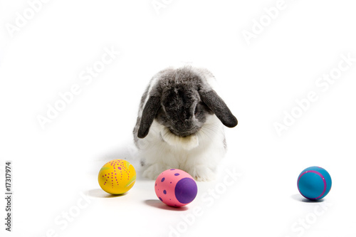 Bashful Easter Bunny