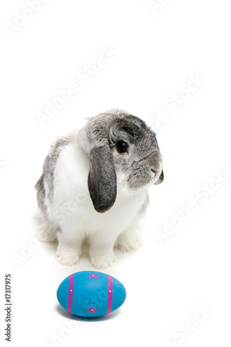 Easter Bunny