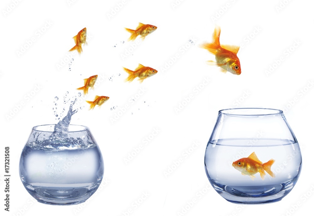 jump to company jump to company