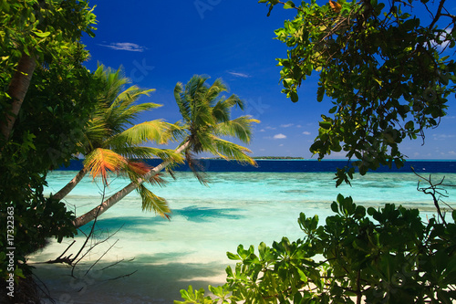 Fotografia Tropical Paradise at Maldives