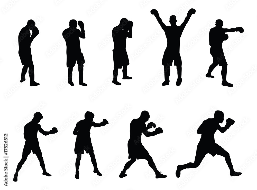 vector image of a selection of boxers - obrazy, fototapety, plakaty 