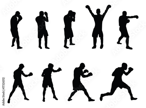 vector image of a selection of boxers
