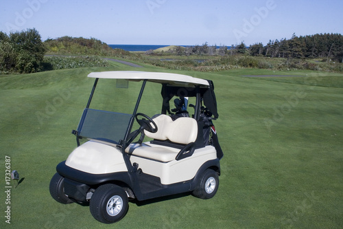 Golf Cart © rusty elliott