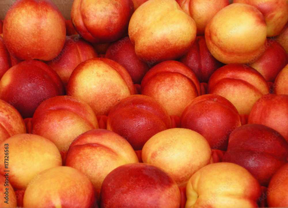 Nectarine Nectarine