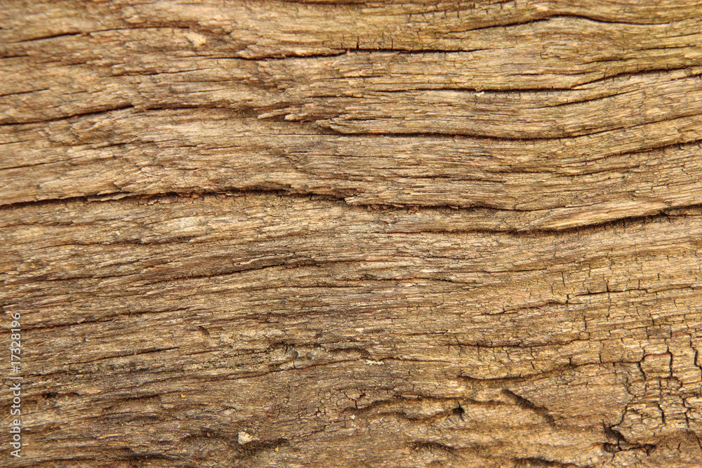 Holzstruktur II Holzstruktur II
