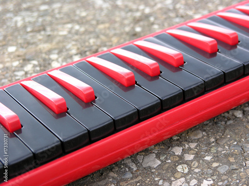 Melodica photo