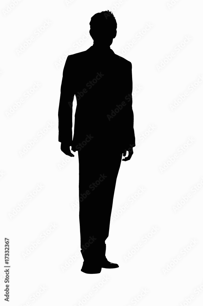 Obraz premium シルエット