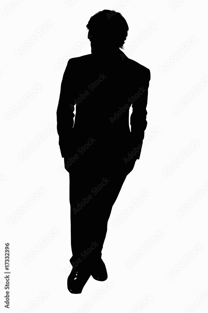 Fototapeta premium シルエット