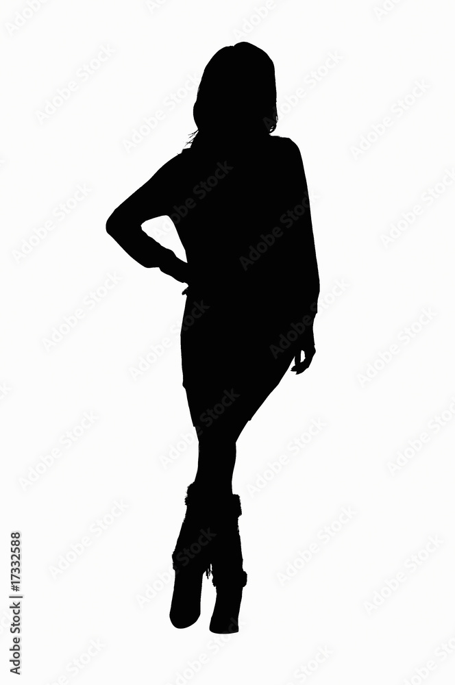 Fototapeta premium シルエット