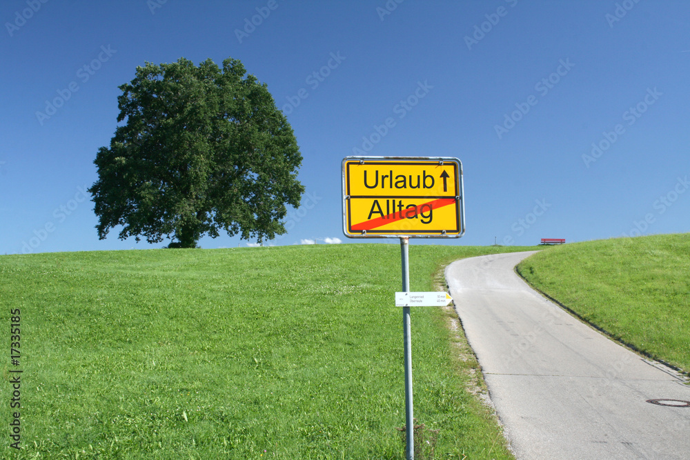 custom made wallpaper toronto digitalUrlaub