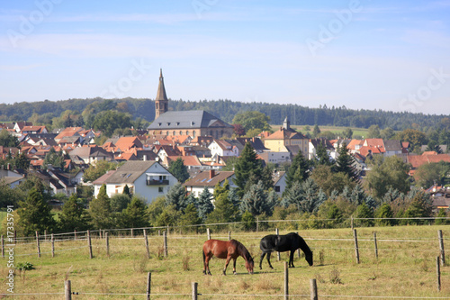 Beerfelden im Odenwald