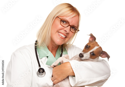 Fototapeta Naklejka Na Ścianę i Meble -  Attractive Female Doctor Veterinarian with Small Puppy