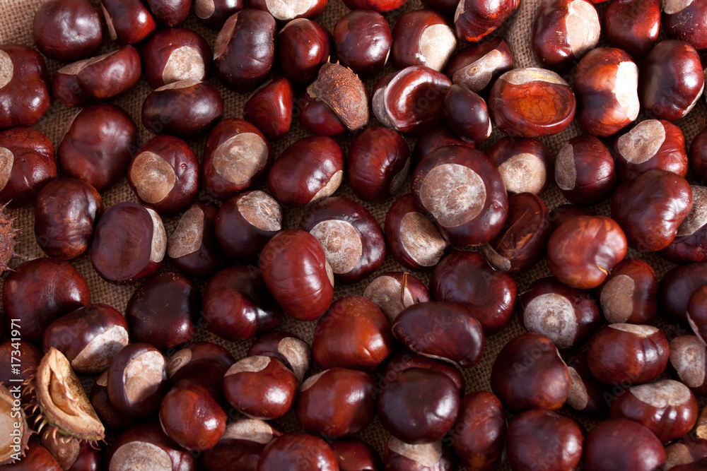 Heap of brown Chestnuts, autumn concept image Heap of brown Chestnuts, autumn concept image