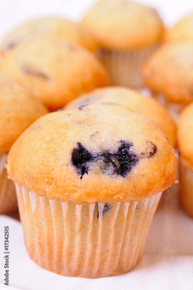 blueberry muffins