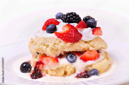 Canvas-taulu berry shortcake