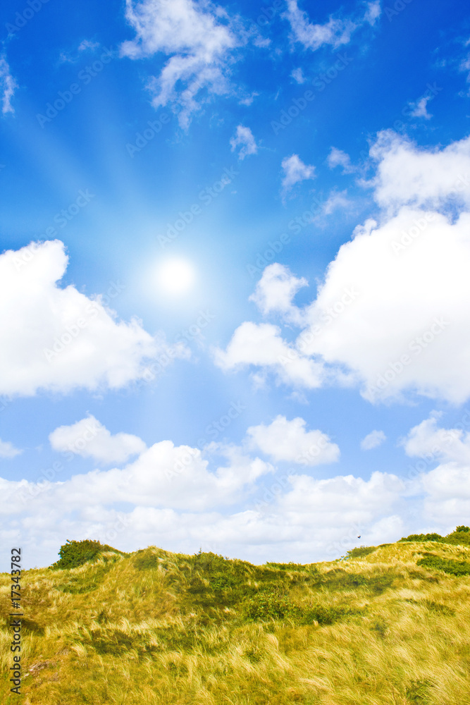 Idyliische Sommerlandschaft an der Nordsee Idyliische Sommerlandschaft an der Nordsee