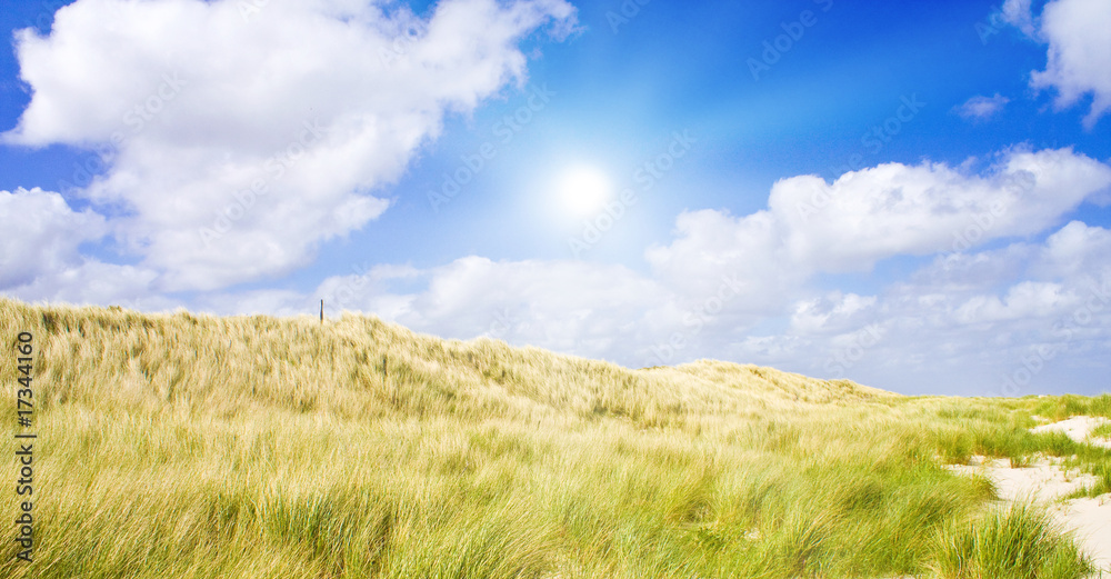 Idyliische Sommerlandschaft an der Nordsee Idyliische Sommerlandschaft an der Nordsee