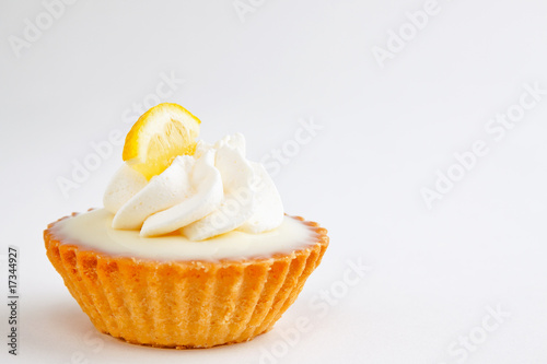 Rich creamy miniature lemon tart - shallow DOF, not isolated