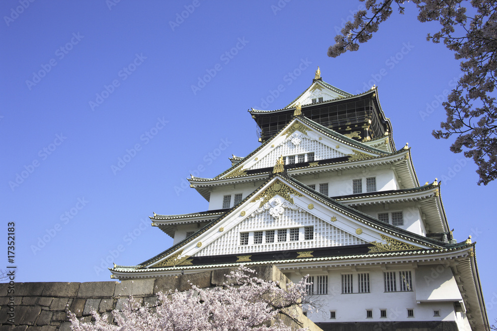 大阪城の桜
