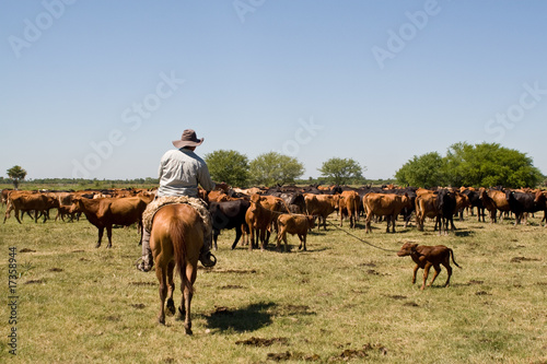 Gaucho in  Paraguay © Klaus Heidemann