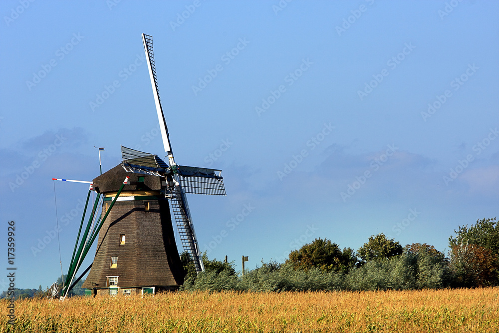 Fototapeta premium Windmill