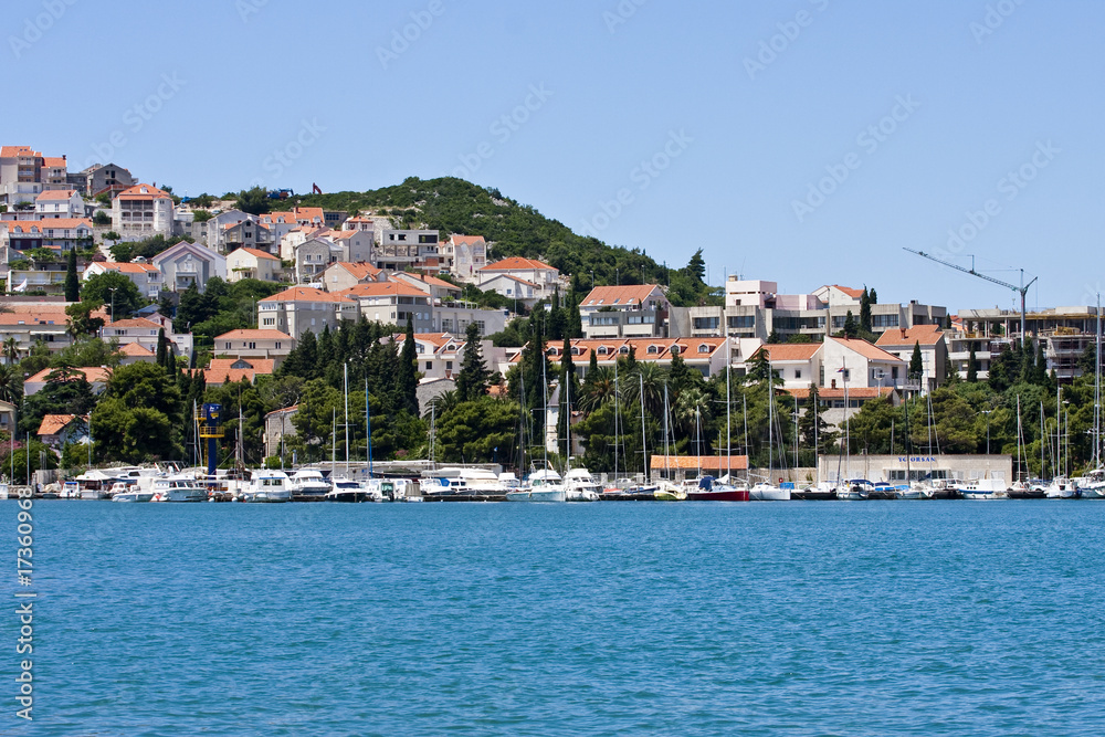 Marina with Green Hill and Red Roofs