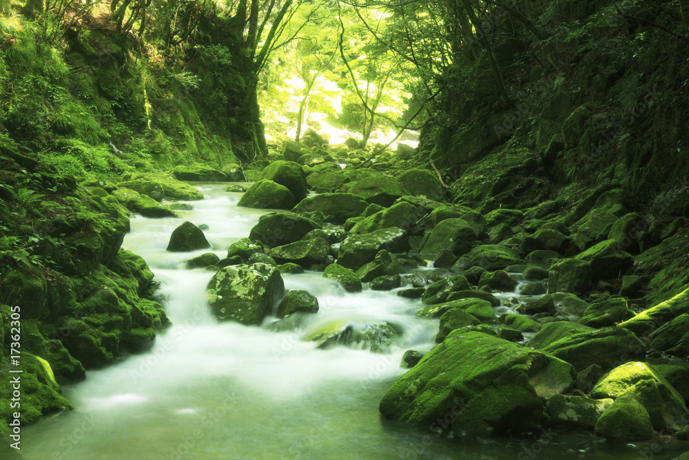 Obraz premium 赤目四十八滝渓谷