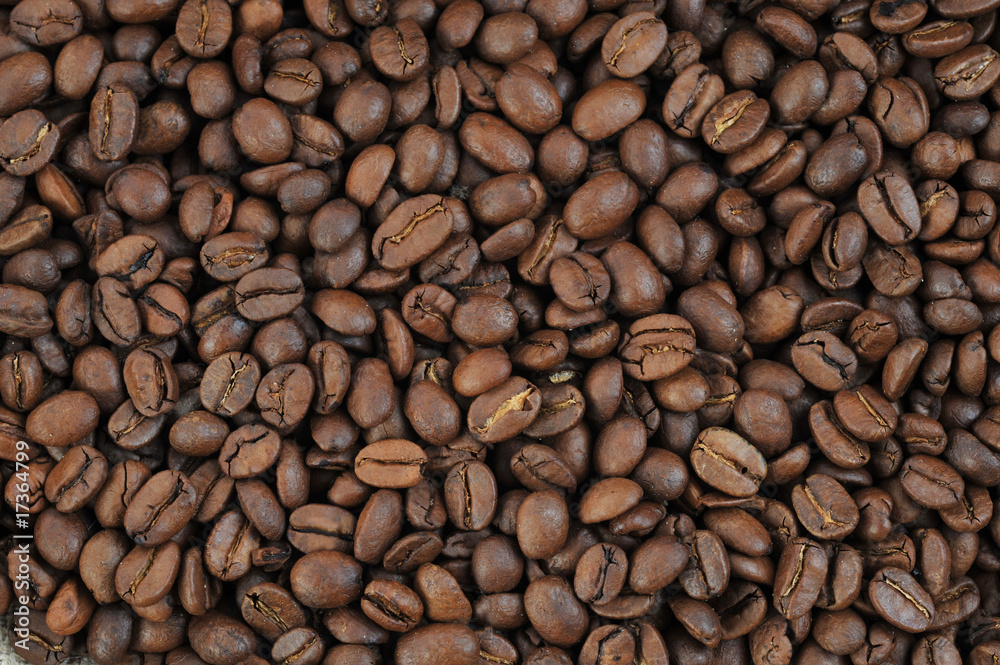 coffee beans close up coffee beans close up