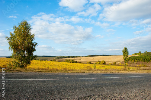 autumn landscape