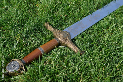 Картината върху платно Sword