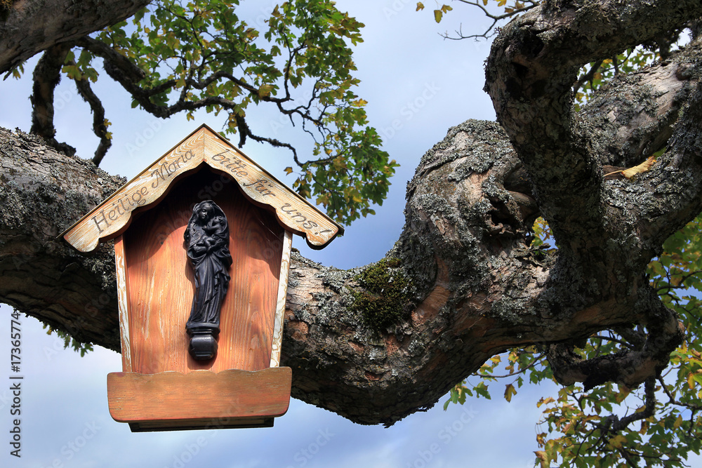 Marienbild - Madonna in the tree